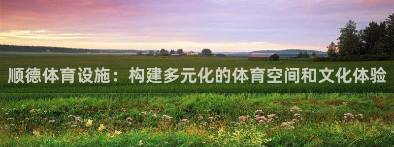 意昂体育4招商电话：顺德体育设施：构建多元化的体育空