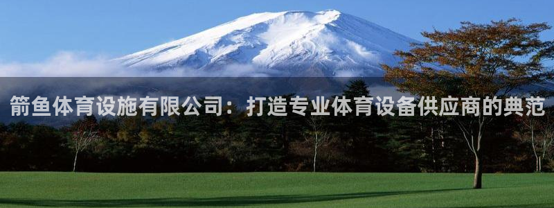 意昂4娱乐：箭鱼体育设施有限公司：打造专业体育设备供应商的典