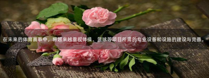 意昂4娱乐首页网站大全：在未来的体育赛事中，将越来越重视体操