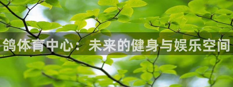 意昂体育4平台是正规平台吗知乎：鸽体育中心：未来的健身与娱乐